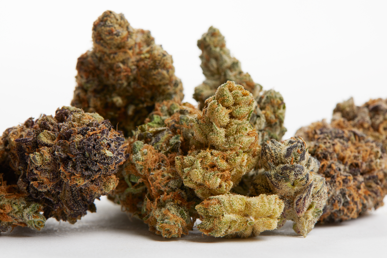 Learn to use cannabis through Smoke Buds post thumbnail image