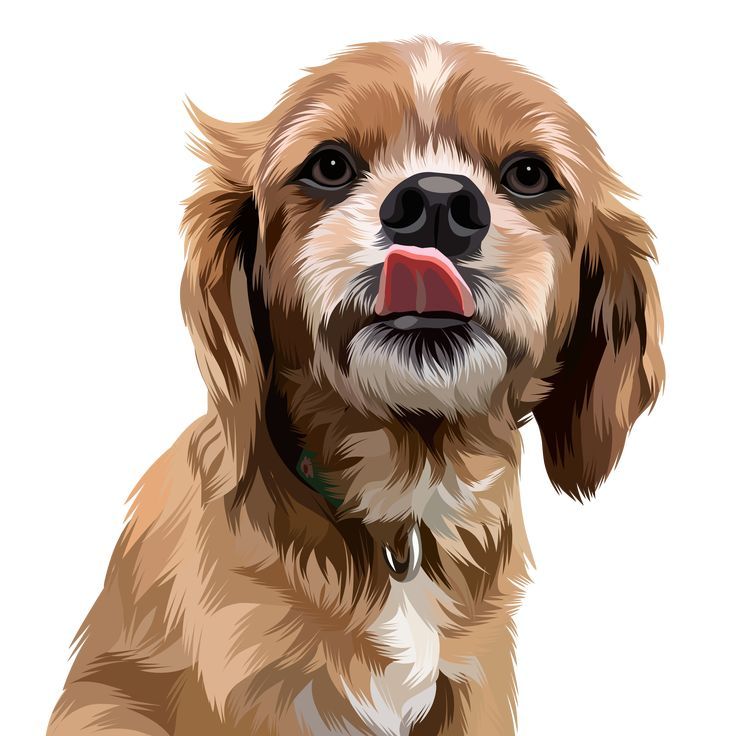 Find out platforms to help you Paint your pet post thumbnail image