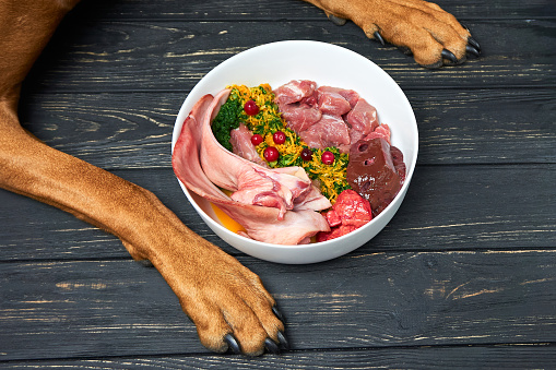 Feeding raw Dog Food Safely and Properly post thumbnail image