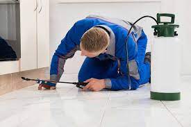 The Benefits of Working With Licensed Professionals for Pest control Solutions in Las Vegas post thumbnail image