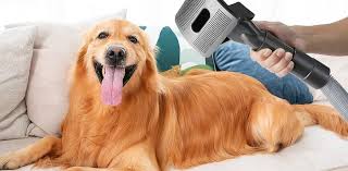 Learn what are the charges that pertain to the dog blow dryers post thumbnail image