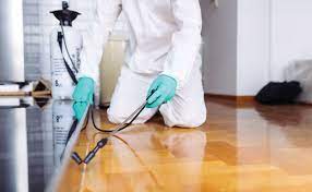 Ensuring Your Property is Safe from Harmful Pests – Expert Pest Control Solutions in Las Vegas post thumbnail image