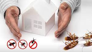Get Rid of Pests Fast with Local Forney TX Pest Control Services post thumbnail image