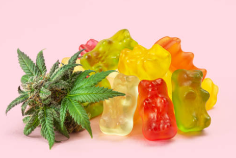 Choosing the Right best CBD Gummy is Easy! post thumbnail image