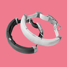 An Elegant Solution to Keep Your Puppy in Check – Halo Dog Collars! post thumbnail image