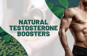 Studies Show That Particular Nutrients Can Improve Testosterone Creation post thumbnail image