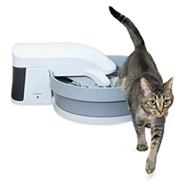 Pros and Cons of Different Types of Automatic Litter Boxes post thumbnail image