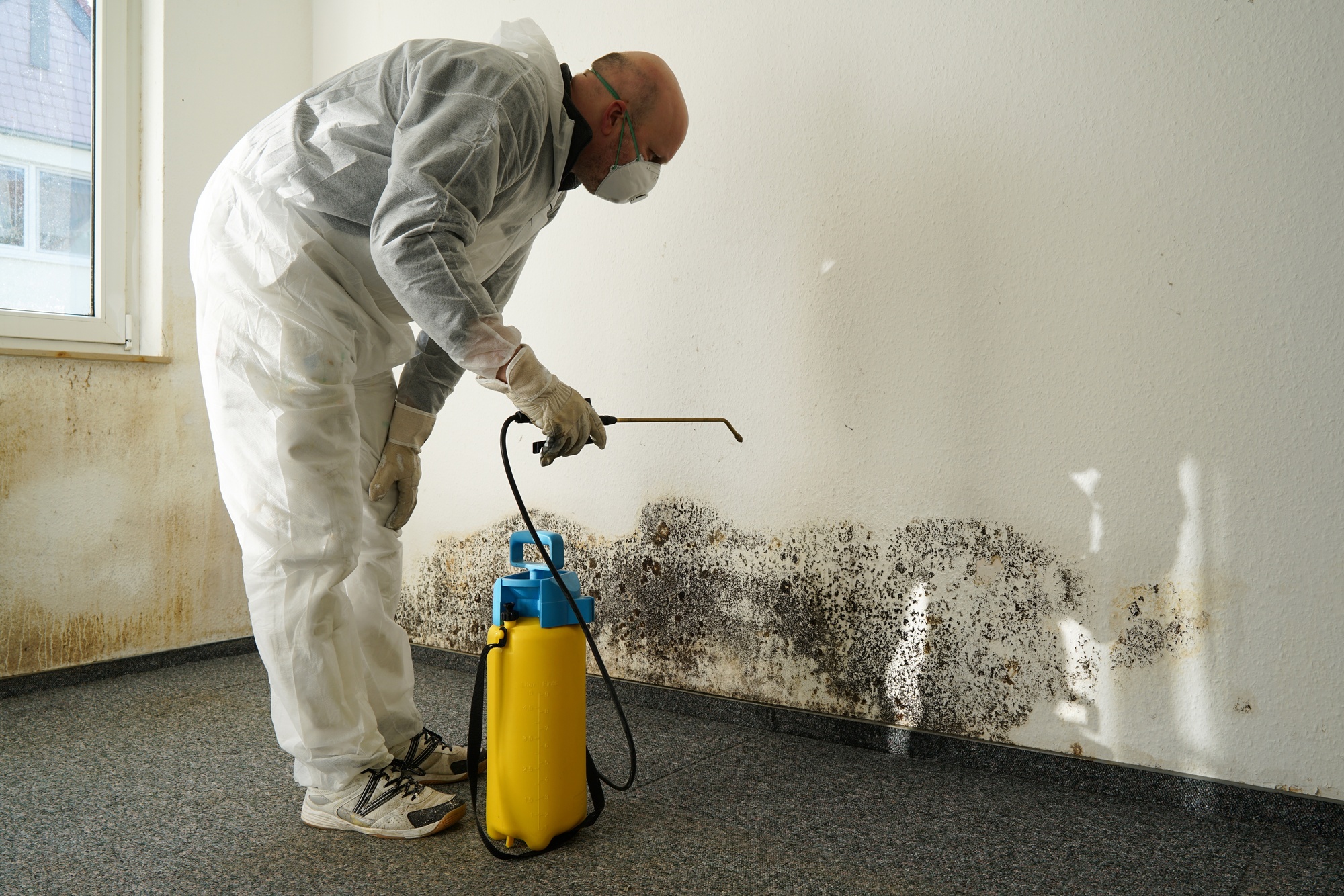 Effective Uses Of Water Damage Restoration Services post thumbnail image
