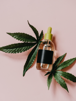 Boost Focus and Creativity with Erba CBD: Everything You Need to Know post thumbnail image