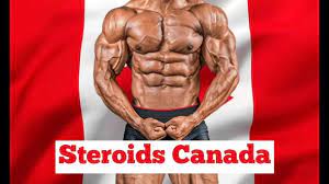 Achieve Your Dream Physique: Buy Pharmaceutical Grade Steroids in Canada post thumbnail image