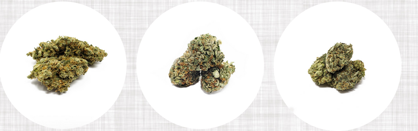 Online Dispensary Canada: Your One-Stop Shop for Quality Cannabis post thumbnail image