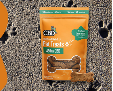 The Best CBD Dog Treats for Specific Health Needs post thumbnail image