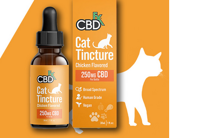 CBD for Cats with All-Natural Ingredients: A Wholesome Choice post thumbnail image