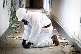 Identifying Asbestos Risks: Essential Survey Methods post thumbnail image