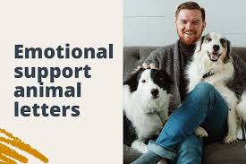 Support on Four Paws: Navigating the ESA Letter Process post thumbnail image