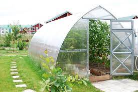 Sustainable Blooms: The Role of Greenhouses in Eco-Friendly Gardening post thumbnail image