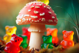 A Taste of Tradition: Savoring Amanita Mushroom Magic in Gummy Form post thumbnail image